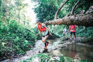 BIB: 
                            <button type="button" onclick="openModal(25433592)" class="btn btn-primary btn-sm float-right btn-popup" data-toggle="modal" data-target=".modal-high-quality">
                        <i class="fas fa-shopping-cart"></i> Add to Cart
                    </button>
                                            <button type="button" onclick="isThisMe(25433592, true)" class="btn btn-success btn-sm float-right btn-popup btn-isme hidden" data-toggle="tooltip" data-placement="bottom" title="นี่คือรูปของคุณใช่ไหม คลิกที่นี่เพื่อเอาเข้าอัลบั้ม">
                        <i class="fas fa-plus"></i> Add to album
                    </button>
                    <button type="button" onclick="isThisMe(25433592, false)" class="btn btn-warning btn-sm float-right btn-popup btn-isnotme hidden">
                        <i class="fas fa-ban"></i> Remove from album
                    </button>